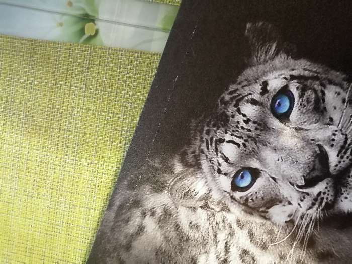 Фотография покупателя товара Часы-картина настенные, серия: Животный мир, "Леопард", 40 х 76 см - Фото 5
