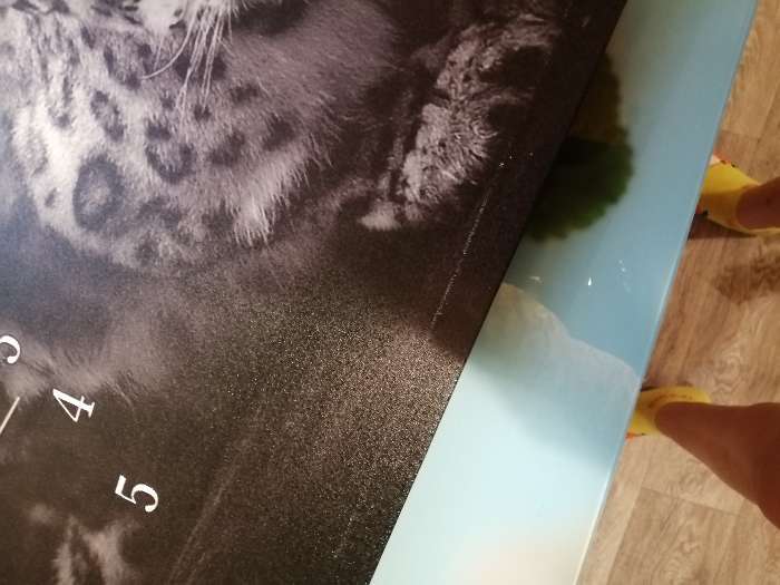 Фотография покупателя товара Часы-картина настенные, серия: Животный мир, "Леопард", 40 х 76 см - Фото 4