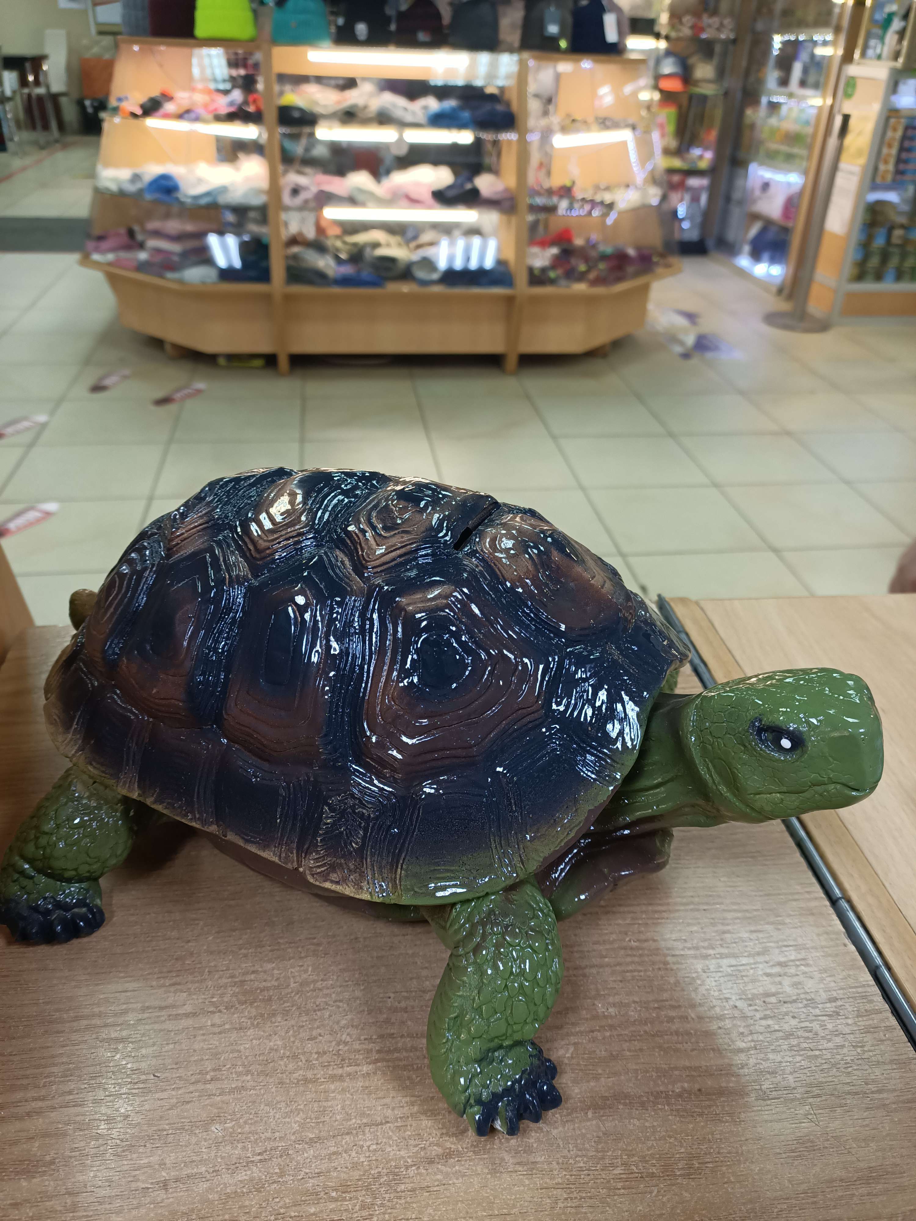 Фотография покупателя товара Копилка "Черепаха", глянец, зелёная, гипс, 31 см - Фото 1