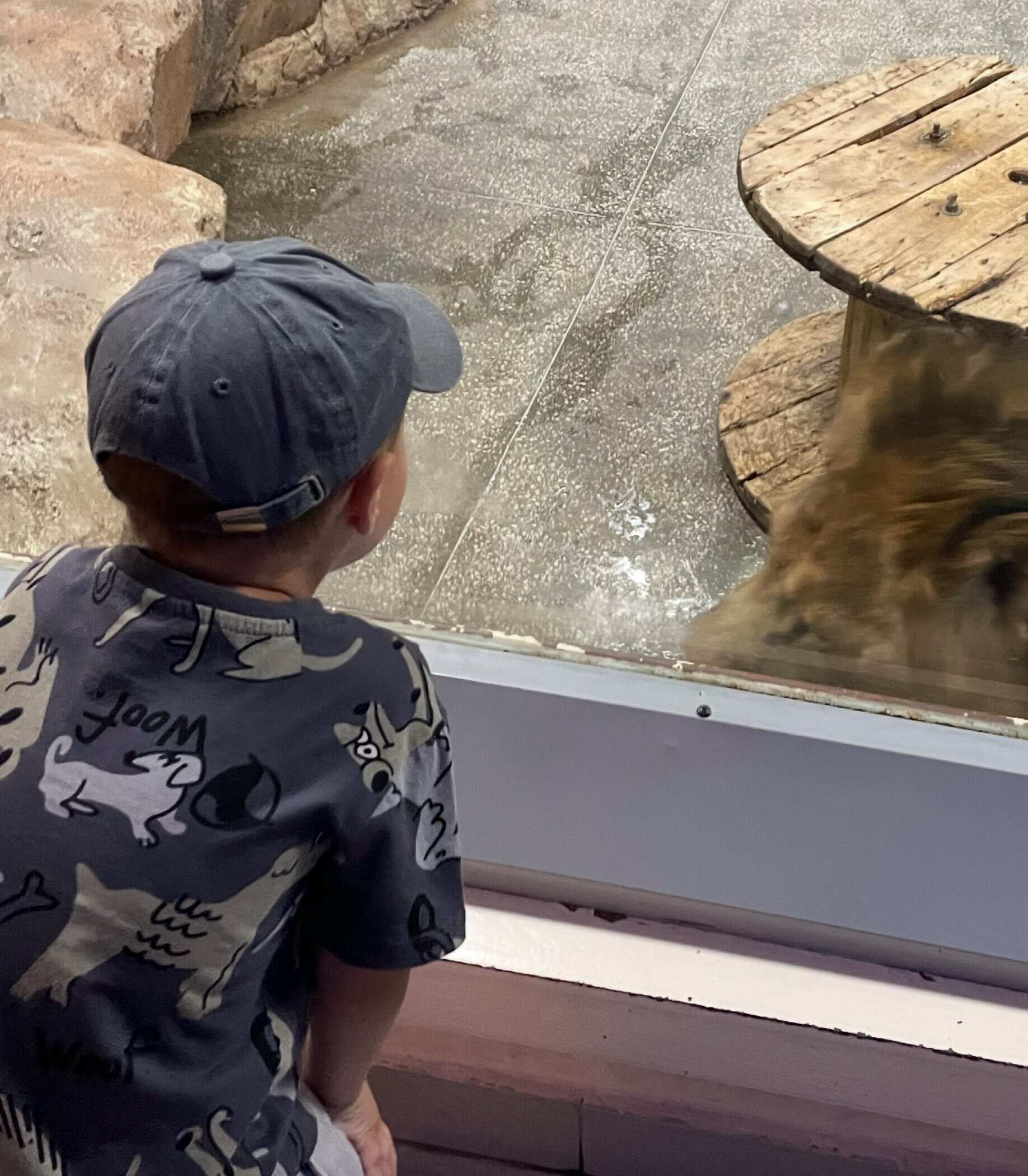 Фотография покупателя товара Кепка детская для девочки Feeling happy, джинса, р-р 52-54, 5-7 лет - Фото 3