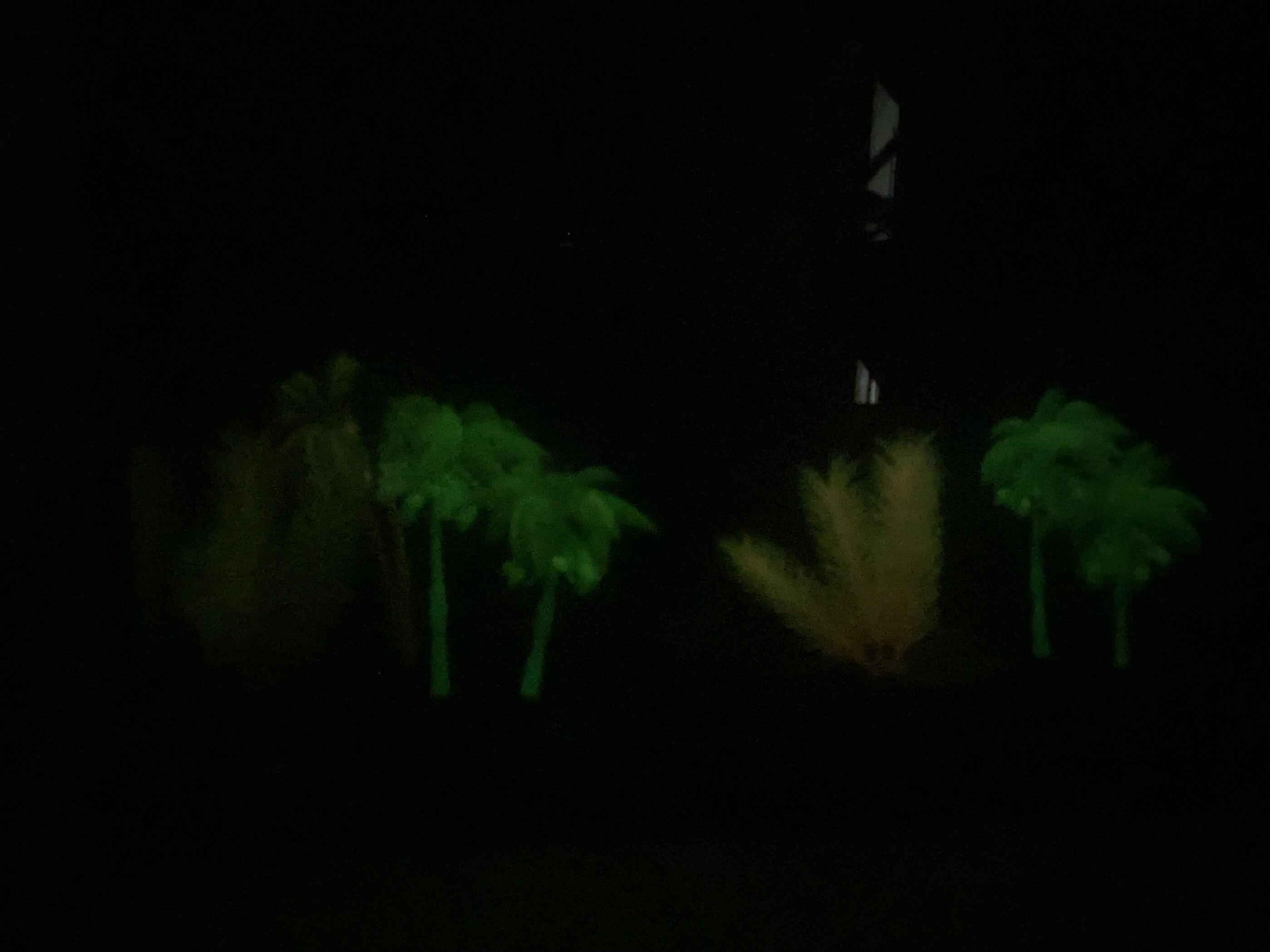 Фотография покупателя товара Растение для аквариума и террариума «Пальма», светящееся, 14 см, красное - Фото 3