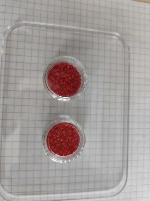 Фотография покупателя товара Органайзер для хранения мелочей, 12 баночек, 12×9×2 см, d=2.8×1.5 см, 4.5 мл, прозрачный - Фото 13