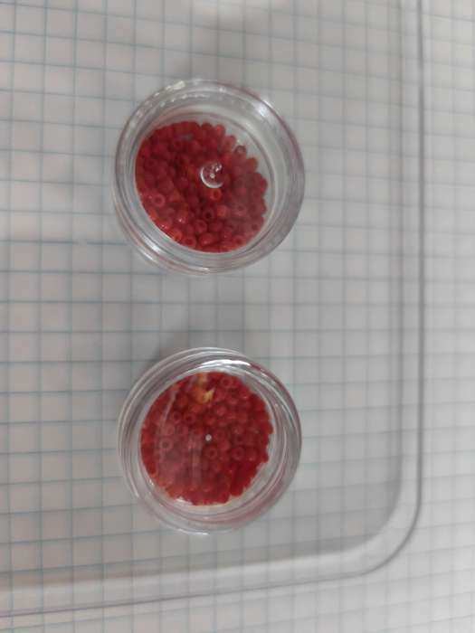 Фотография покупателя товара Органайзер для хранения мелочей, 12 баночек, 12×9×2 см, d=2.8×1.5 см, 4.5 мл, прозрачный - Фото 11