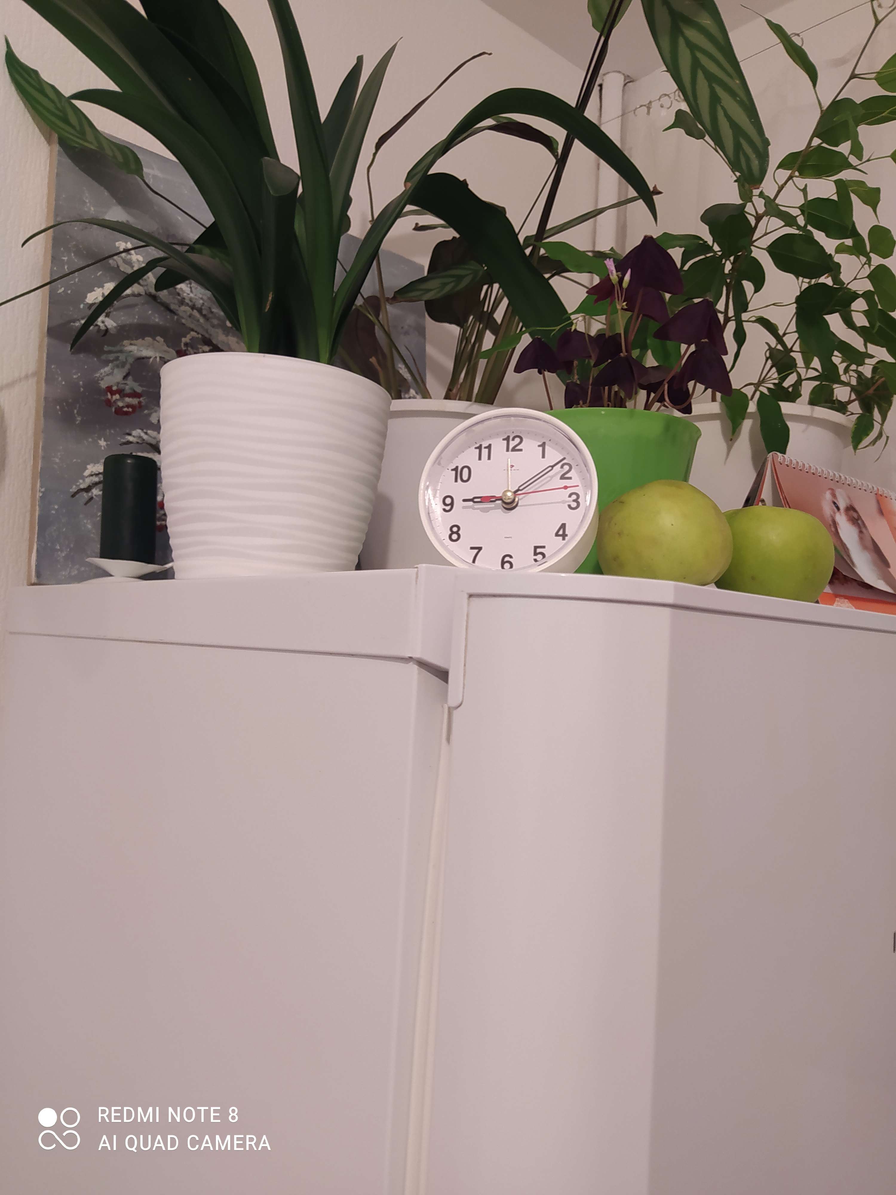 Фотография покупателя товара Часы - будильник настольные "Классика", дискретный ход, 8 х 8 см, АА