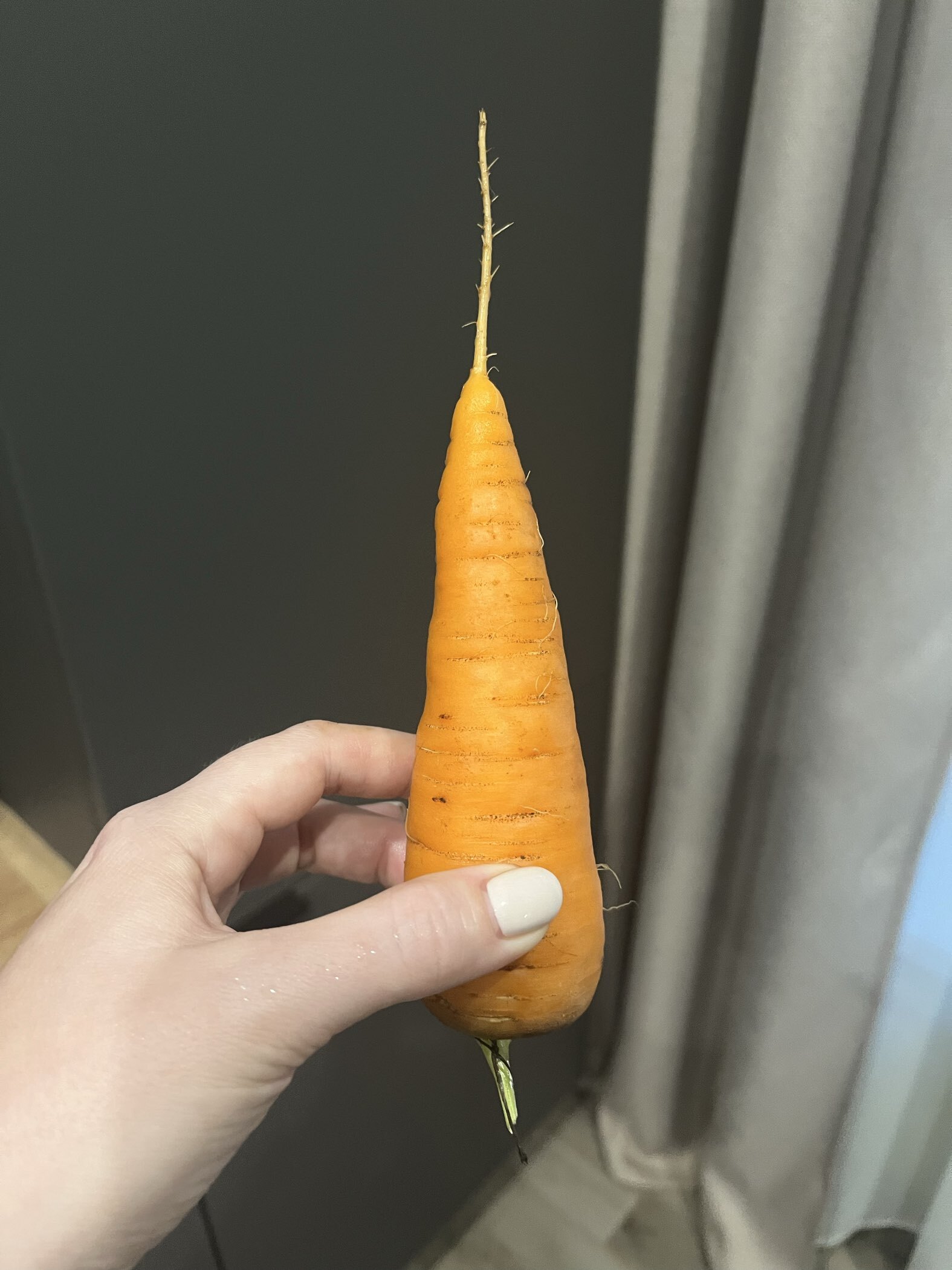 Фотография покупателя товара Семена Морковь «Мо», 2 г, «Аэлита» - Фото 1