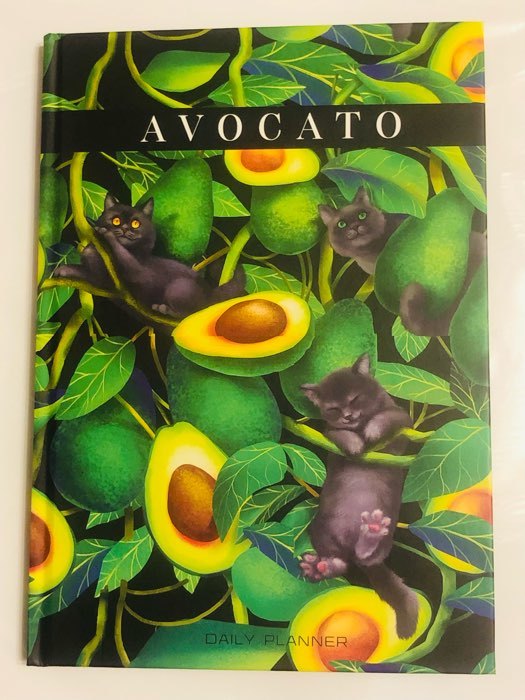 Фотография покупателя товара Ежедневник Avocato А5, 80 листов - Фото 1