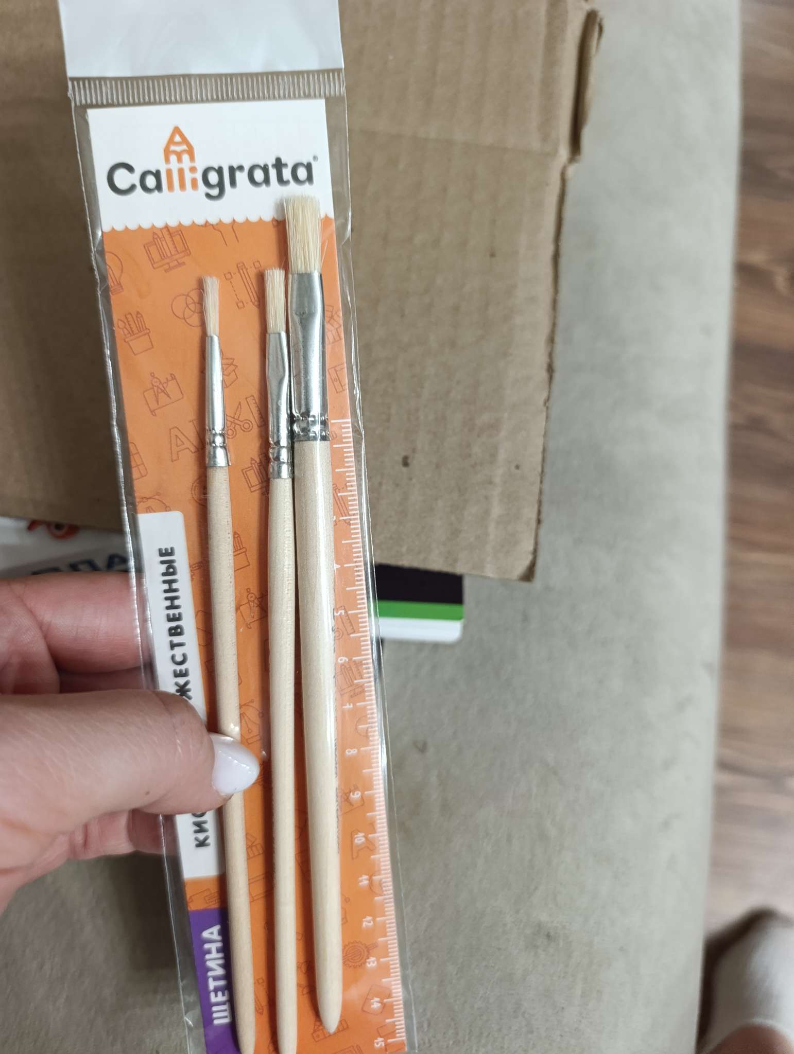 Фотография покупателя товара Набор кистей для рисования, щетина, 5 штук: №: 2, 6, 10, 16, 24, Calligrata, плоские, деревянная ручка, в пакете - Фото 1