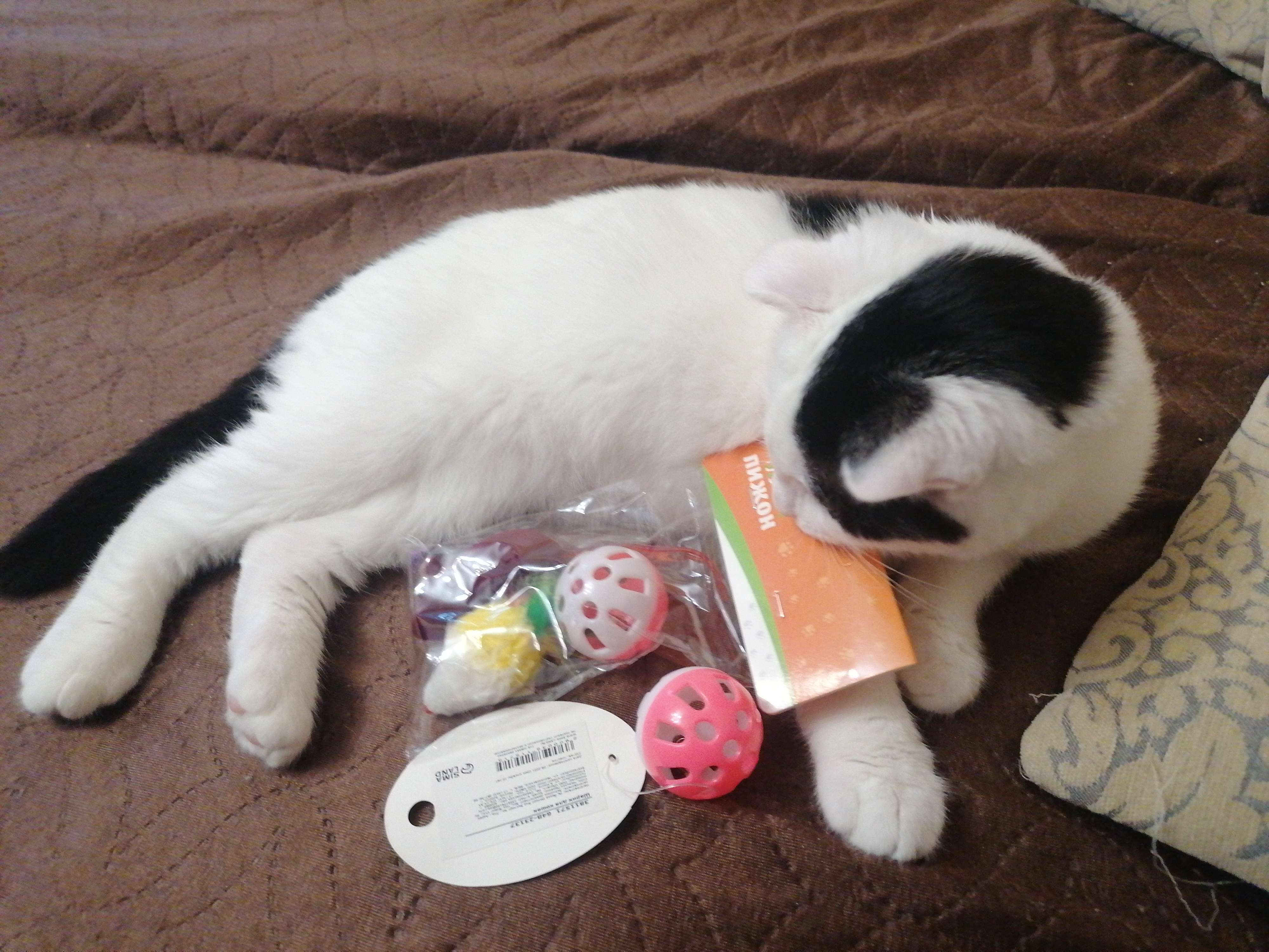 Фотография покупателя товара Набор игрушек для кошек: 2 мыши (5 и 6 см) и шарик 3,8 см, микс цветов - Фото 1