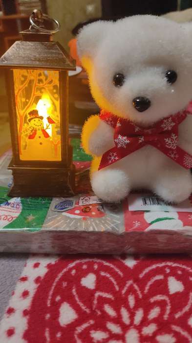 Фотография покупателя товара Светодиодная фигура «Фонарь с Дедом Морозом» 5.5 × 13 × 5.5 см, пластик, батарейки AG13х3, свечение тёплое белое - Фото 14