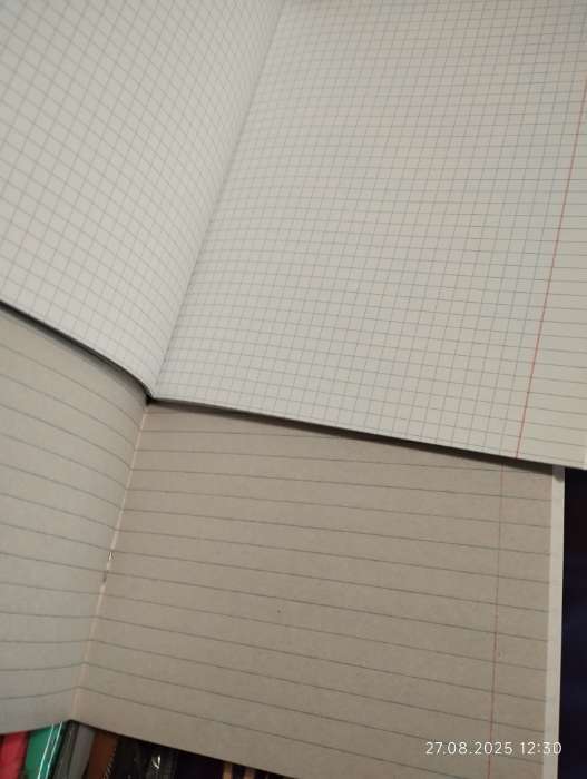 Фотография покупателя товара Набор тетрадей, 96 листов в линейку, Calligrata «Город», серые листы, 4 штуки - Фото 1