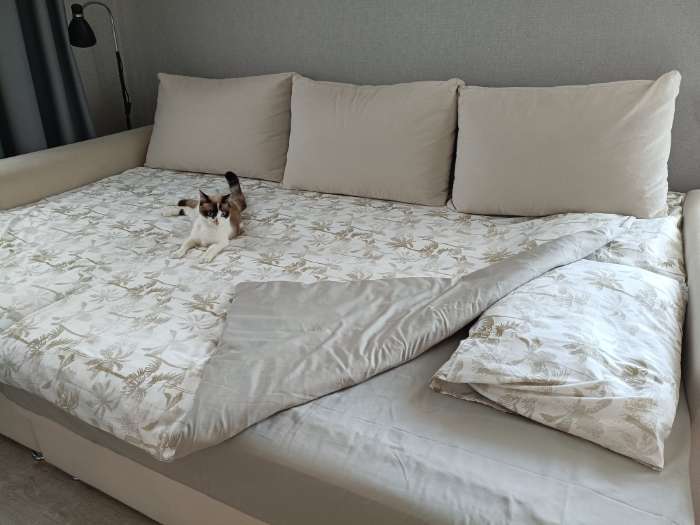 Фотография покупателя товара Постельное бельё евро LoveLife Summer, жатка - Фото 1