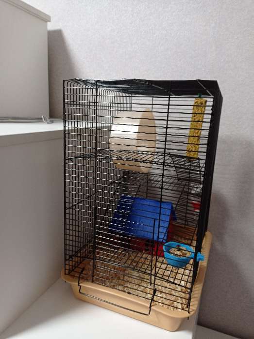 Фотография покупателя товара Клетка для грызунов "Пижон" №9, с 3-я этажами, без наполнения, 33 х 24 х 38 см, бежевая