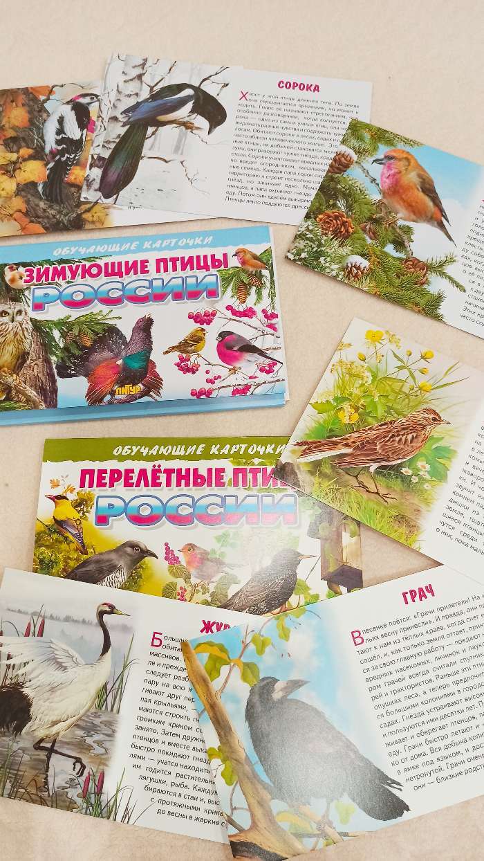 Фотография покупателя товара Обучающие карточки «Перелётные птицы России», 16 карточек