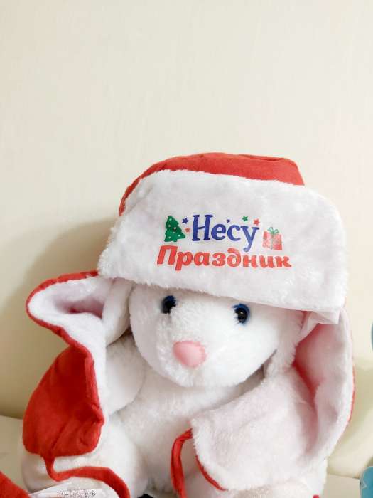Фотография покупателя товара Карнавальная шапка-ушанка «Несу праздник»