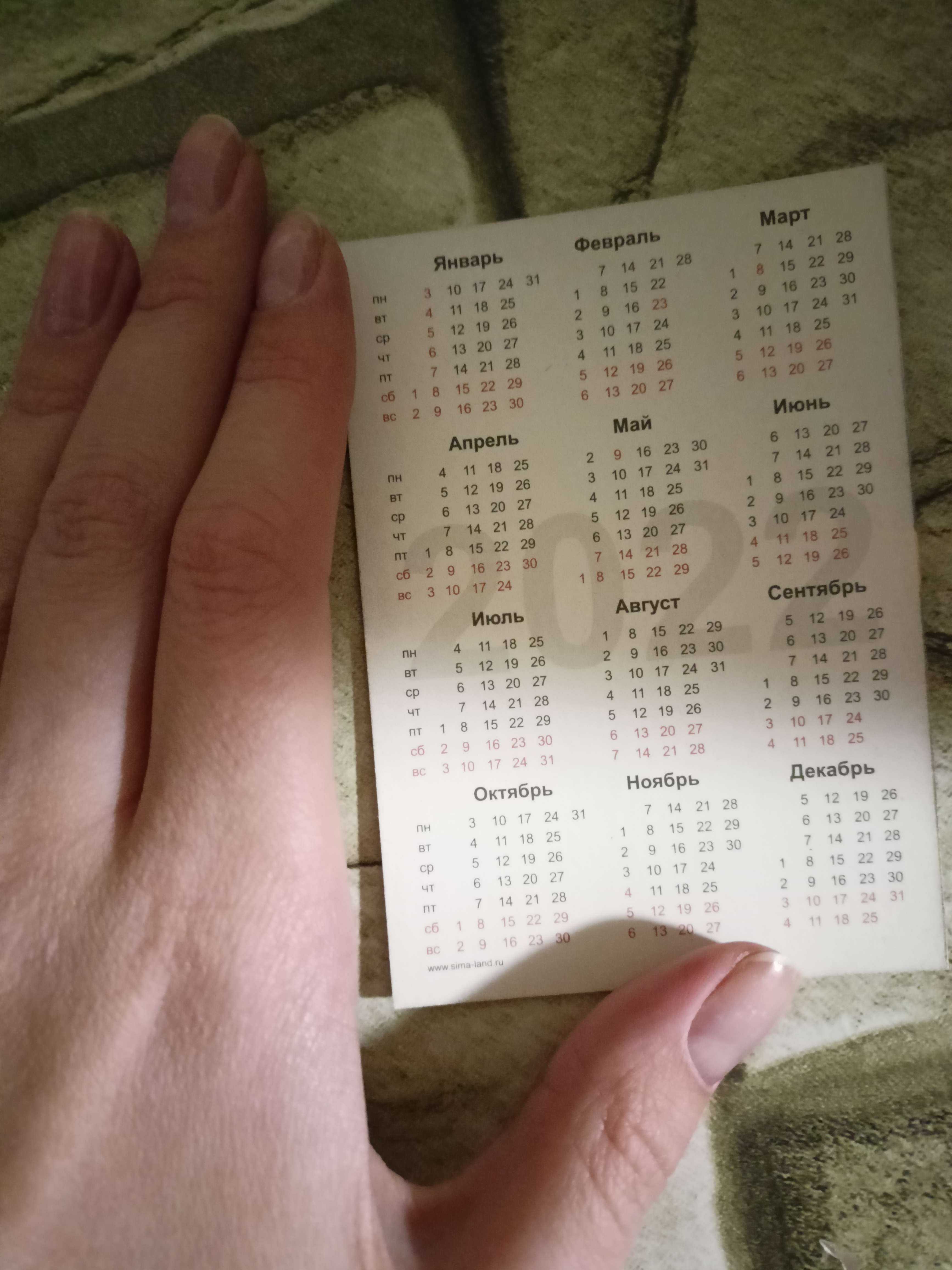 Фотография покупателя товара Карманный календарь "Символ года - 3" 2024 год, 7х10см, МИКС - Фото 3