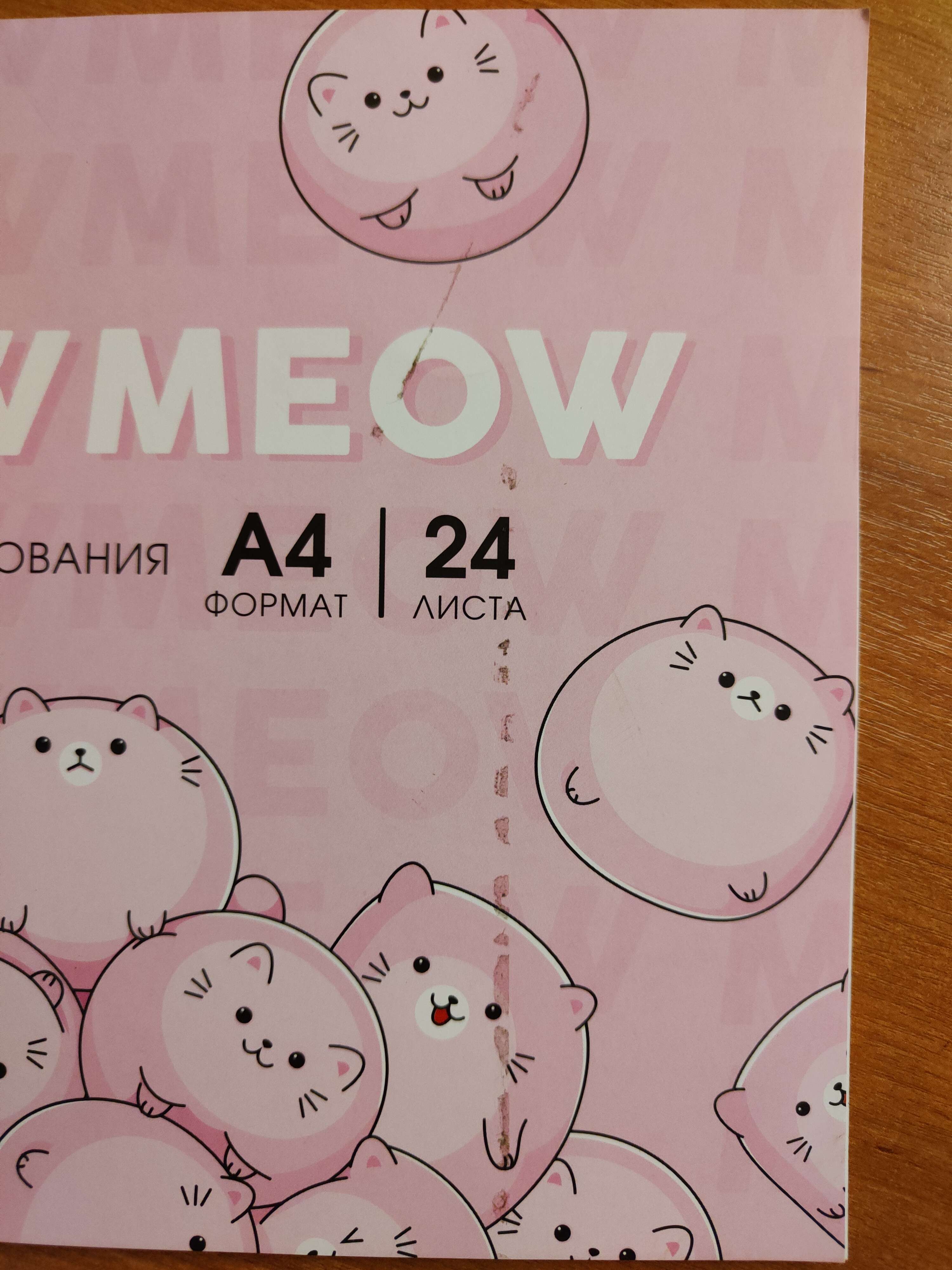 Фотография покупателя товара Альбом для рисования на скрепках А4, 24 листа «Meow Meow» (обложка 160 г/м2, бумага 100 г/м2). - Фото 1