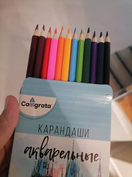 Фотография покупателя товара Карандаши Calligrata, цветные, акварельные, 12 цветов - Фото 46