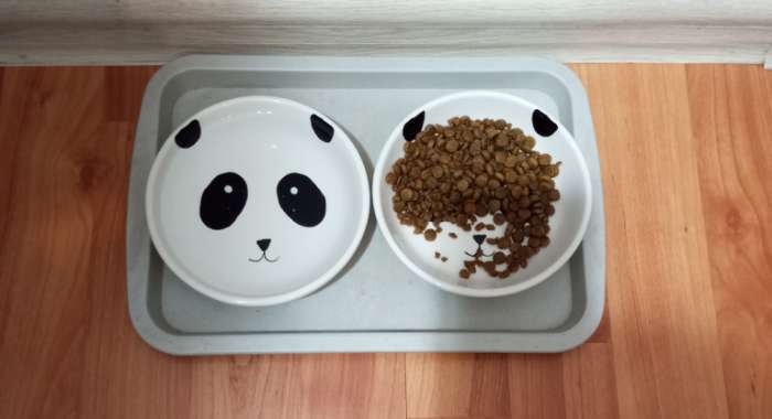 Фотография покупателя товара Салатник Доляна «Панда», 250 мл, d=13 см, белый - Фото 1