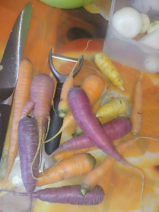 Фотография покупателя товара Семена Морковь "Чурчхела", фиолетовая, Сем. Алт, ц/п, 0,2 г - Фото 1