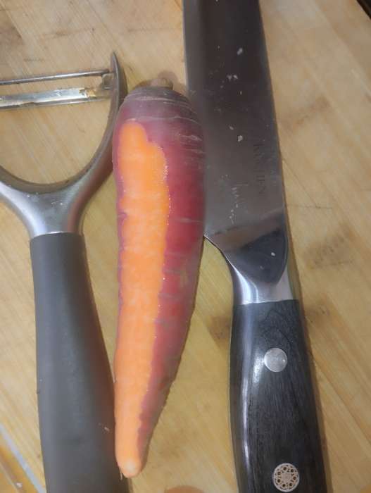 Фотография покупателя товара Семена Морковь "Чурчхела", фиолетовая, Сем. Алт, ц/п, 0,2 г - Фото 2