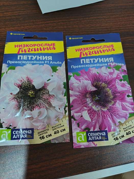 Фотография покупателя товара Семена цветов Петуния «Превосходнейшая Альба», низкорослые гиганты, 7 шт., «Семена Алтая» - Фото 1