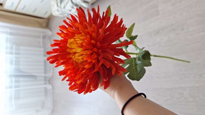 Фотография покупателя товара Цветы искусственные «Хризантема леди элит», 67×16 см, оранжевые - Фото 1