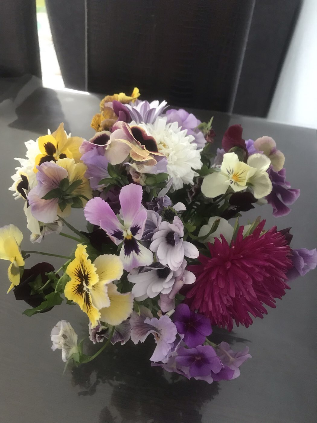 Фотография покупателя товара Семена цветов Астра игольчато-коготковая "Джувел Аметист", ц/п, однолетняя, 0,05 г - Фото 1