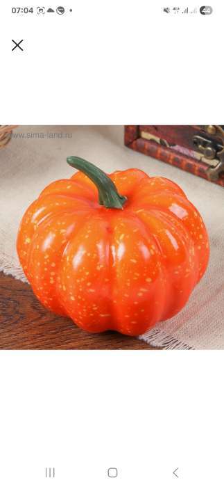 Фотография покупателя товара Муляж «Тыква круглая», 8.5×5.5 см - Фото 1