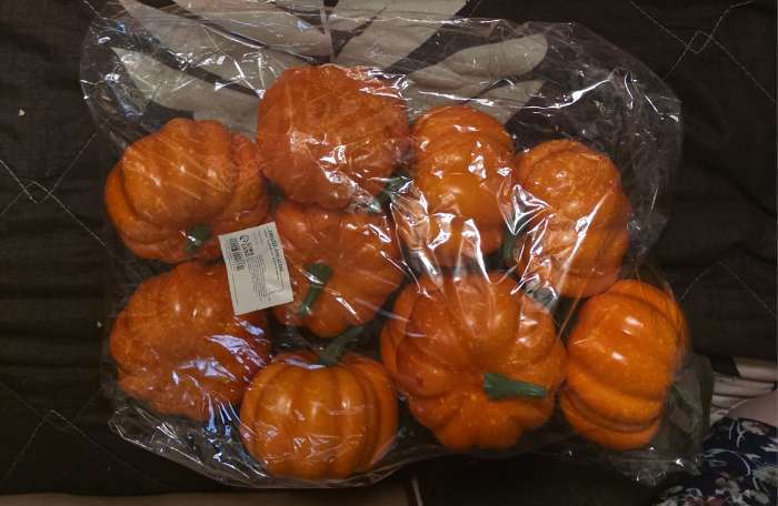 Фотография покупателя товара Муляж «Тыква круглая», 8.5×5.5 см - Фото 3