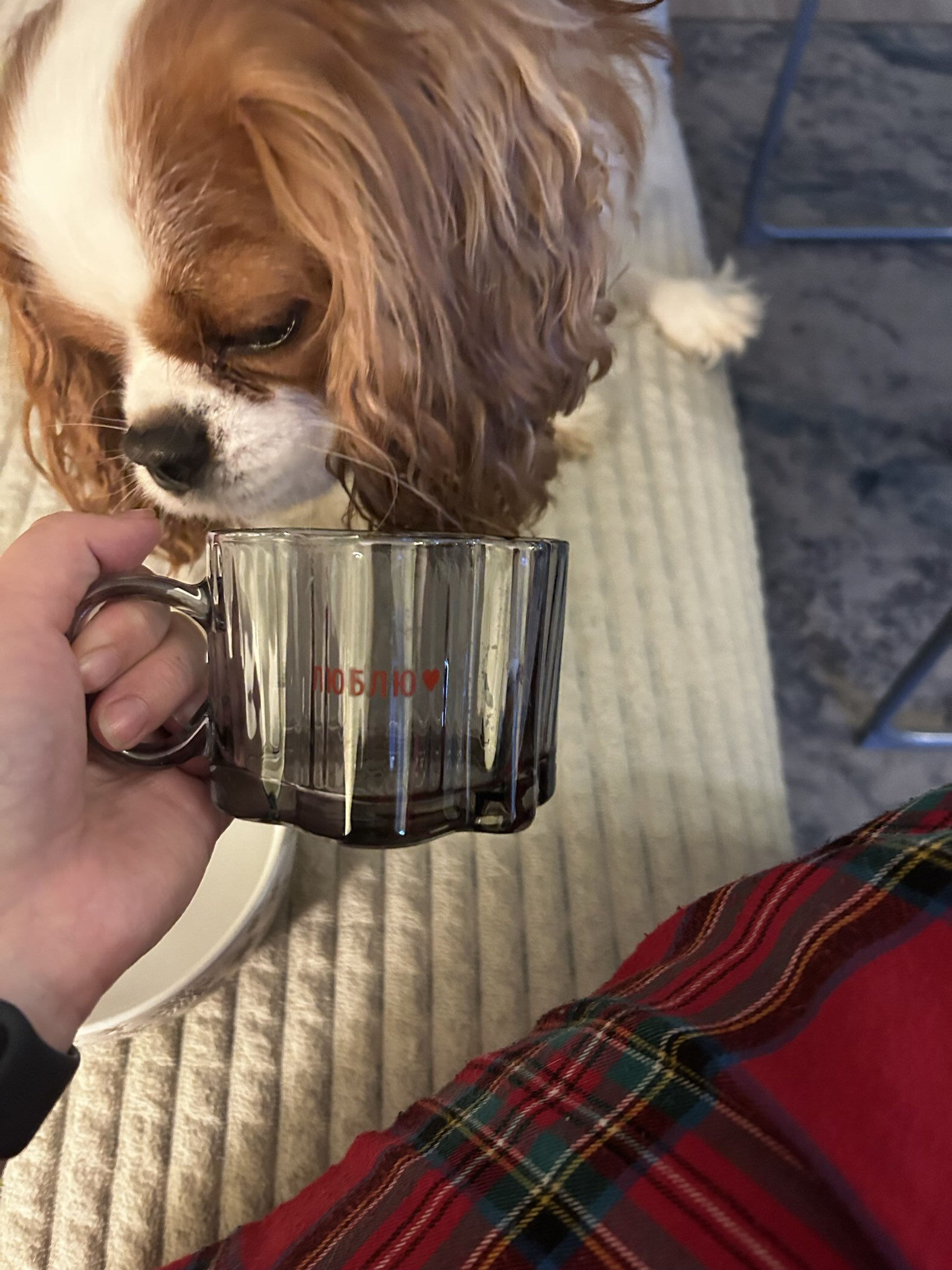 Фотография покупателя товара Кружка стеклянная «Барашки», 260 мл - Фото 12