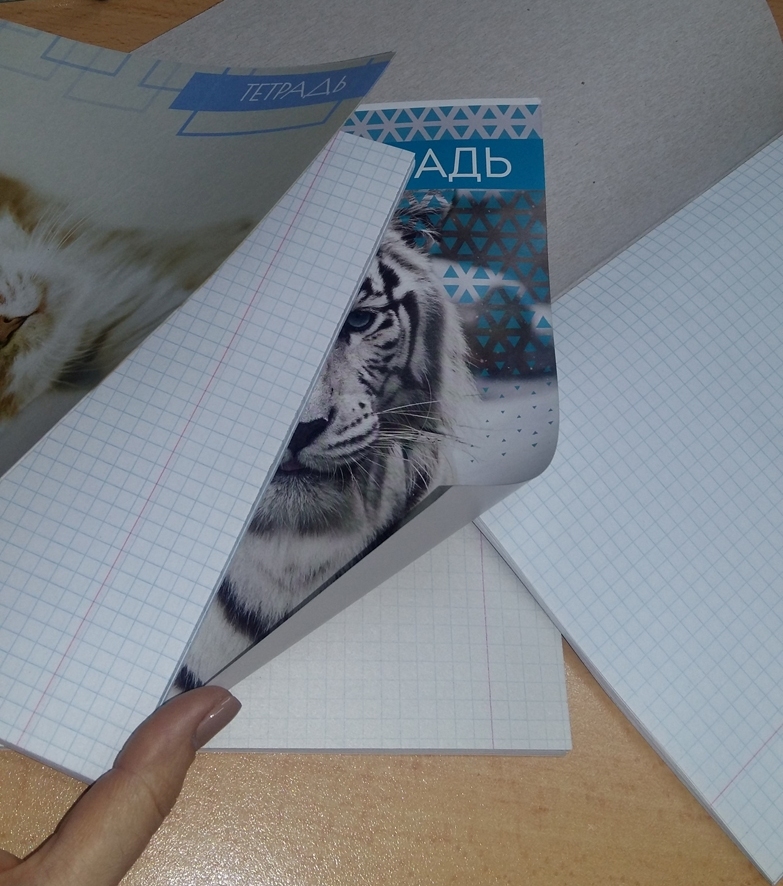 Фотография покупателя товара Тетрадь 48 листов в клетку Calligrata "Дикие кошки", обложка мелованная бумага, блок №2, МИКС - Фото 5