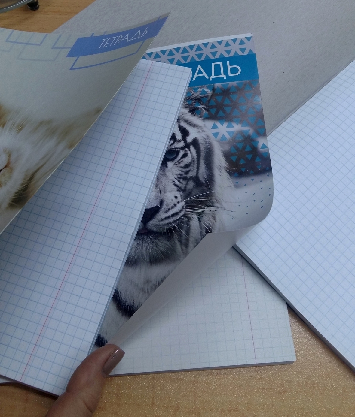 Фотография покупателя товара Тетрадь 48 листов в клетку Calligrata "Дикие кошки", обложка мелованная бумага, блок №2, МИКС - Фото 4