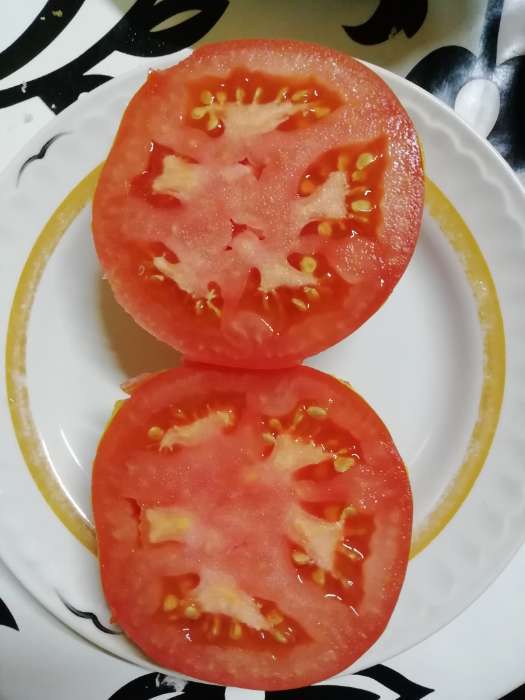 Фотография покупателя товара Семена Томат "Лазурный гигант", F1, индетерминантный,высокорослый,10 шт - Фото 18