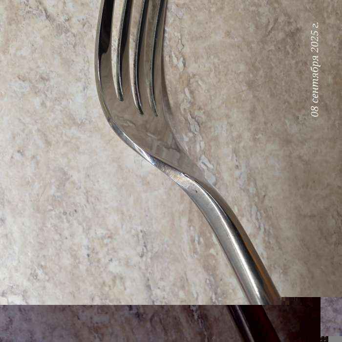 Фотография покупателя товара Вилка столовая Magistro «Джентри», h=21 см, нержавеющая сталь, серебристая - Фото 1