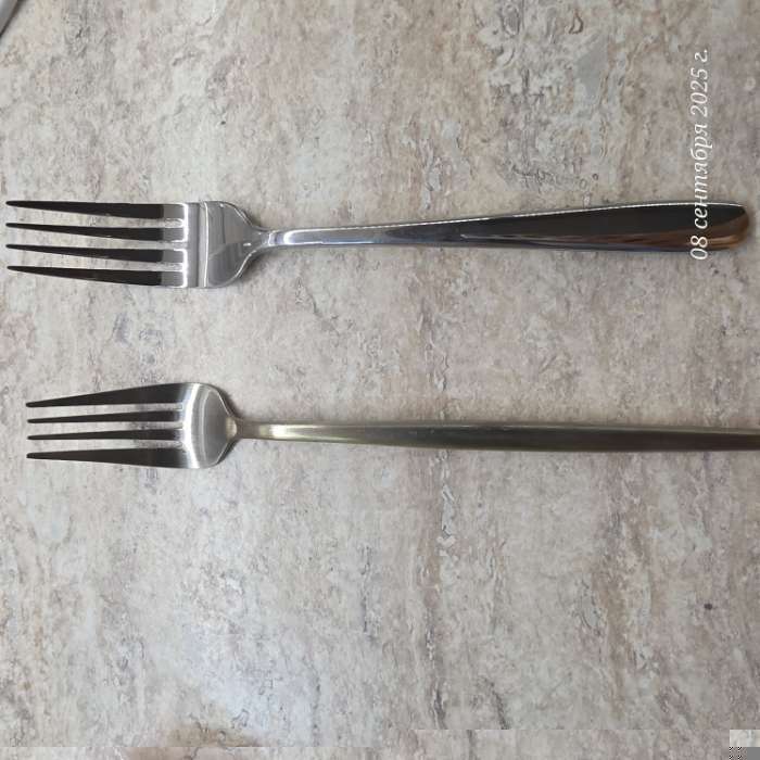 Фотография покупателя товара Вилка столовая Magistro «Джентри», h=21 см, нержавеющая сталь, серебристая - Фото 3