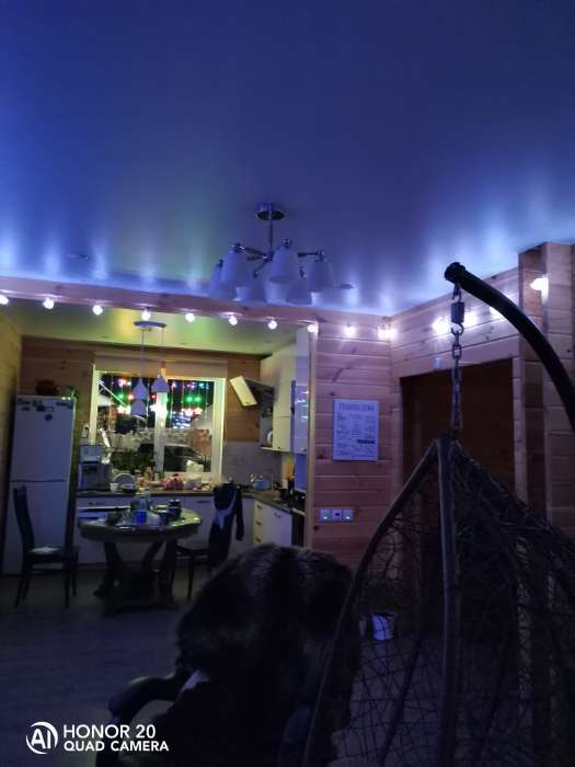 Фотография покупателя товара Гирлянда «Нить» 3 м с насадками «Лампочки шишки», IP20, прозрачная нить, 80 LED, свечение синее, 8 режимов, 220 В - Фото 16