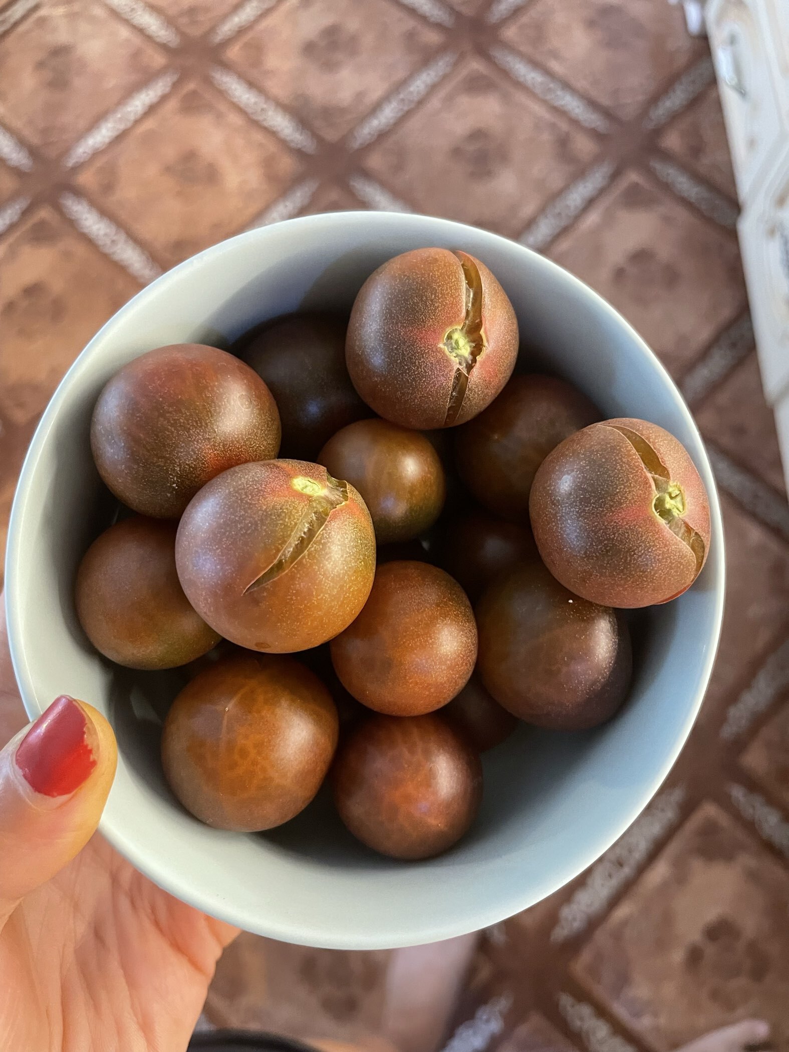 Фотография покупателя товара Семена Томат «Блэк черри», раннеспелый, индетерминантный, высокорослый, 20 шт. - Фото 2