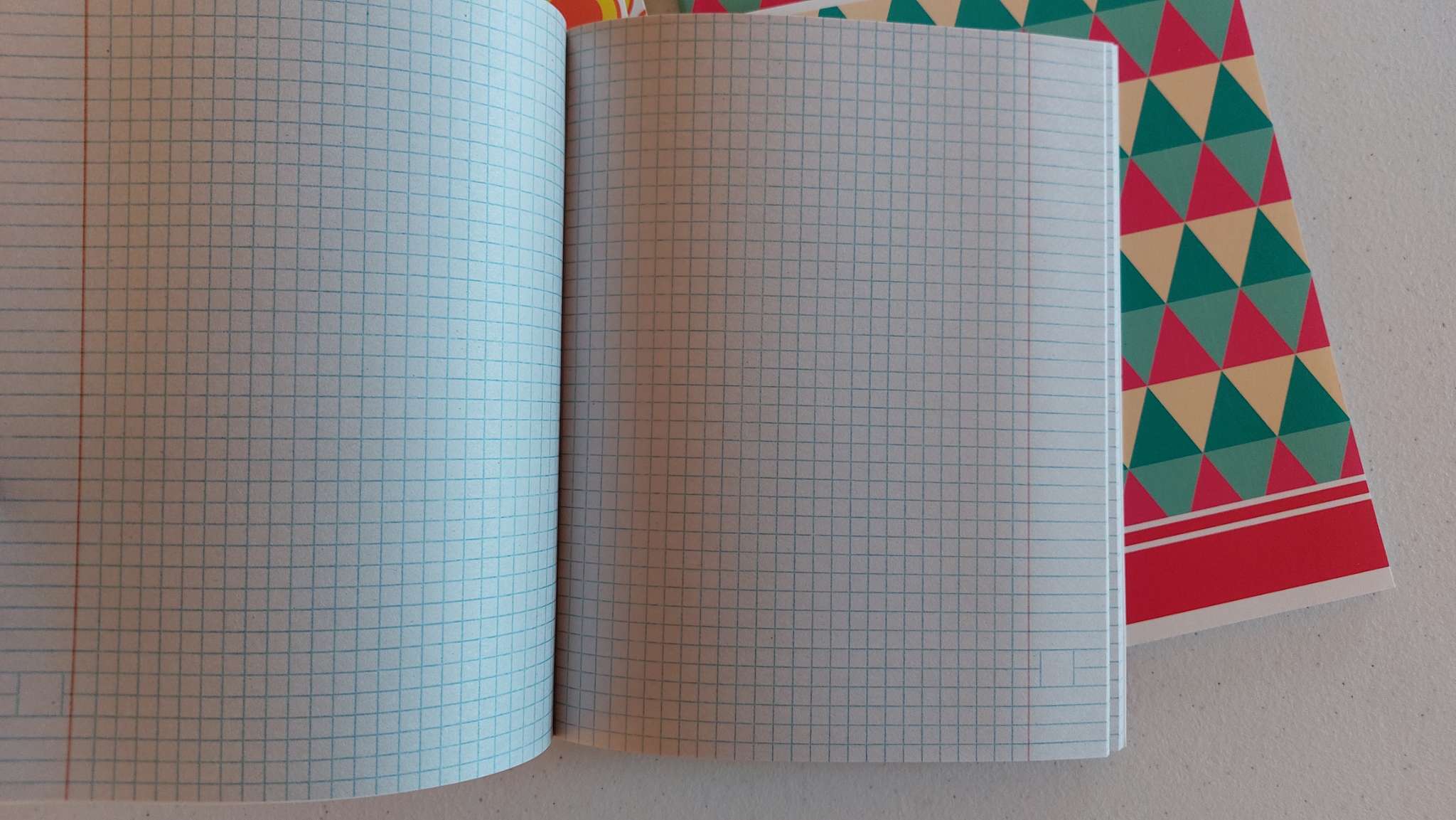 Фотография покупателя товара Тетрадь 48 листов в клетку Calligrata «Орнамент», серые листы, МИКС - Фото 2