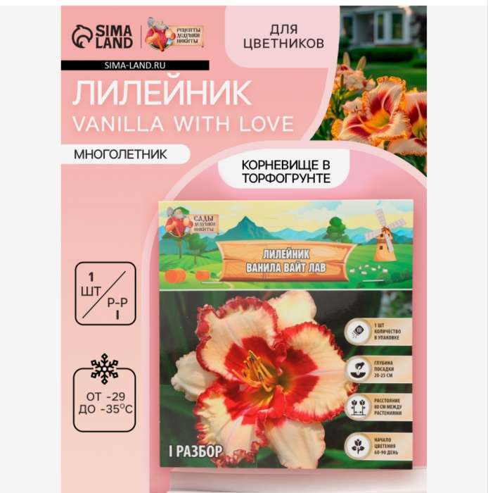 Фотография покупателя товара Лилейник Vanilla With Love, многолетник, корневище в пакете с торфогрунтом, р-р I, 1 шт. - Фото 21