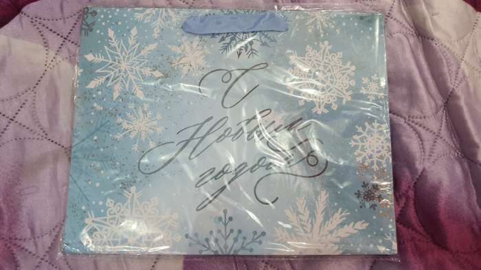 Фотография покупателя товара Пакет ламинированный горизонтальный «Морозный день», ML 27 × 23 × 11,5 см - Фото 1