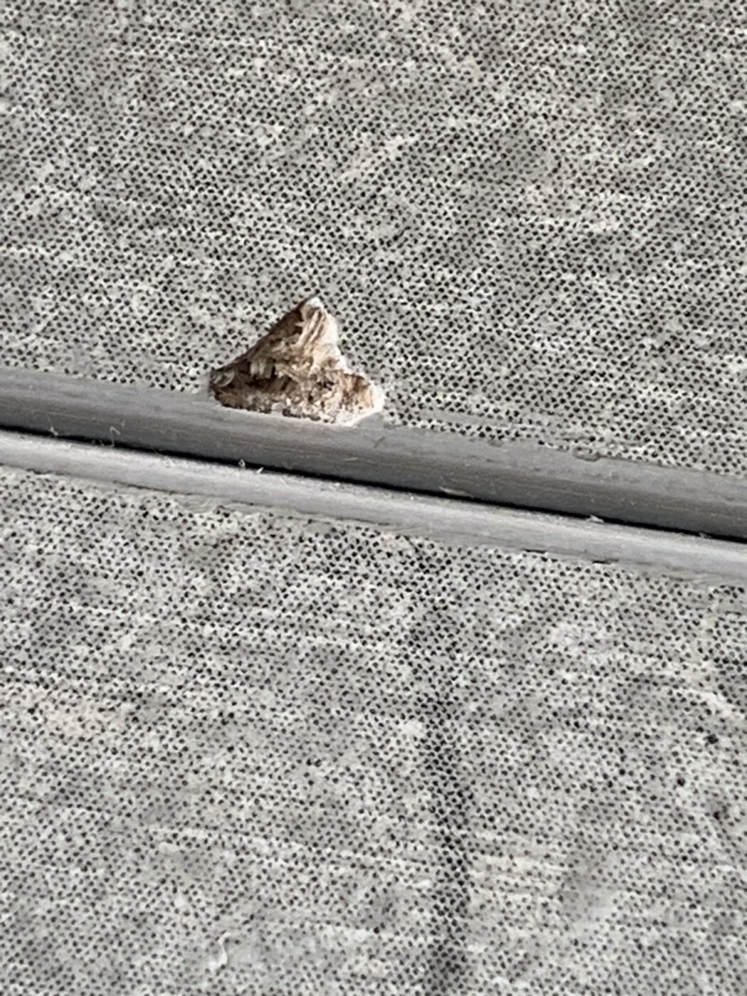 Фотография покупателя товара Стол раздвижной круглый «Орион», 950(1250)×950×750 мм, ножки металл, цвет чёрный/каспий светлый - Фото 39