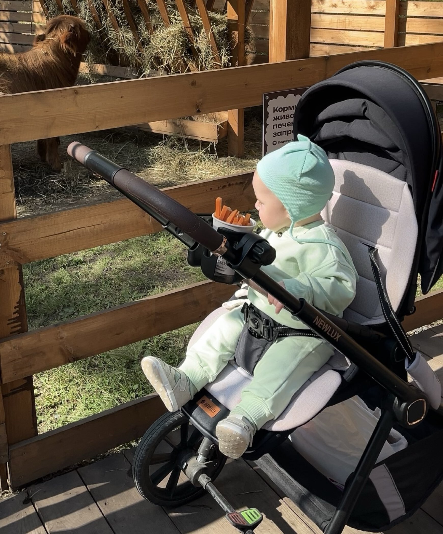 Фотография покупателя товара Штанишки детские MINAKU: Basic Line BABY, рост 62-68 см, бежевые - Фото 1