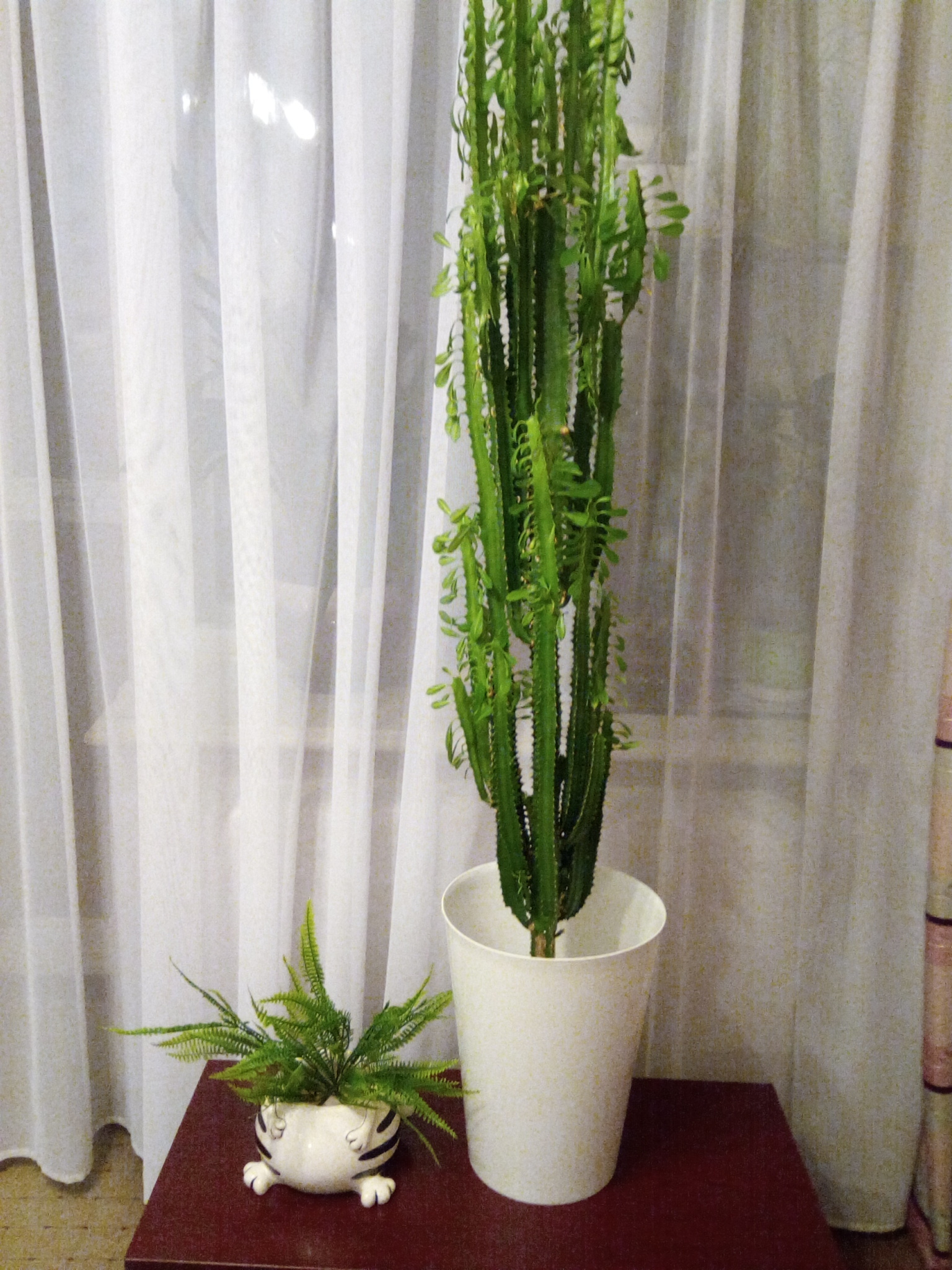 Фотография покупателя товара Букет искусственный «Лесной папоротник», h=28 см - Фото 7