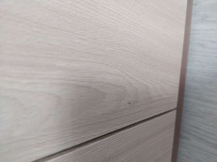 Фотография покупателя товара Шкаф двухстворчатый «Клик Мебель. Герда», 5 полок, 800×450×2100 мм, цвет ясень шимо светлый/тёмный - Фото 52