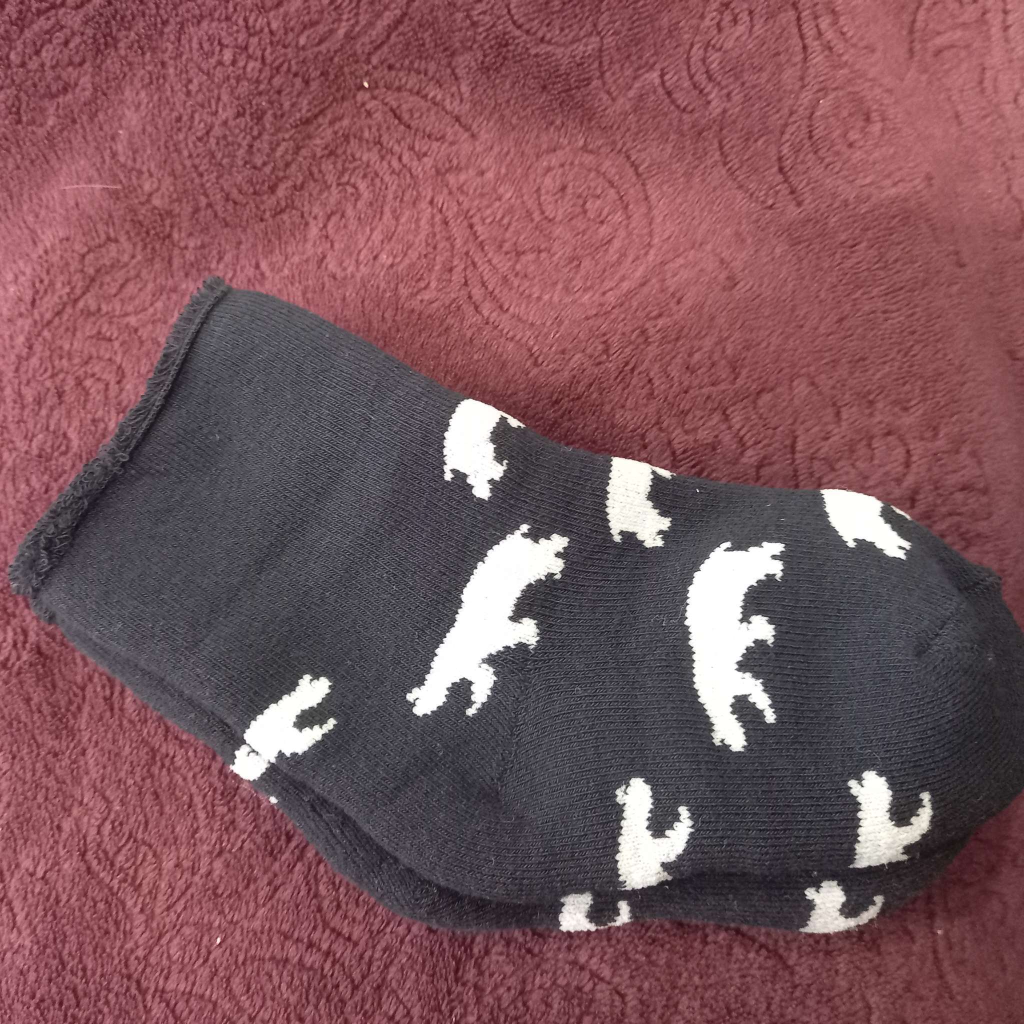 Фотография покупателя товара Носки махровые детские, синие, размер 14-16 - Фото 1