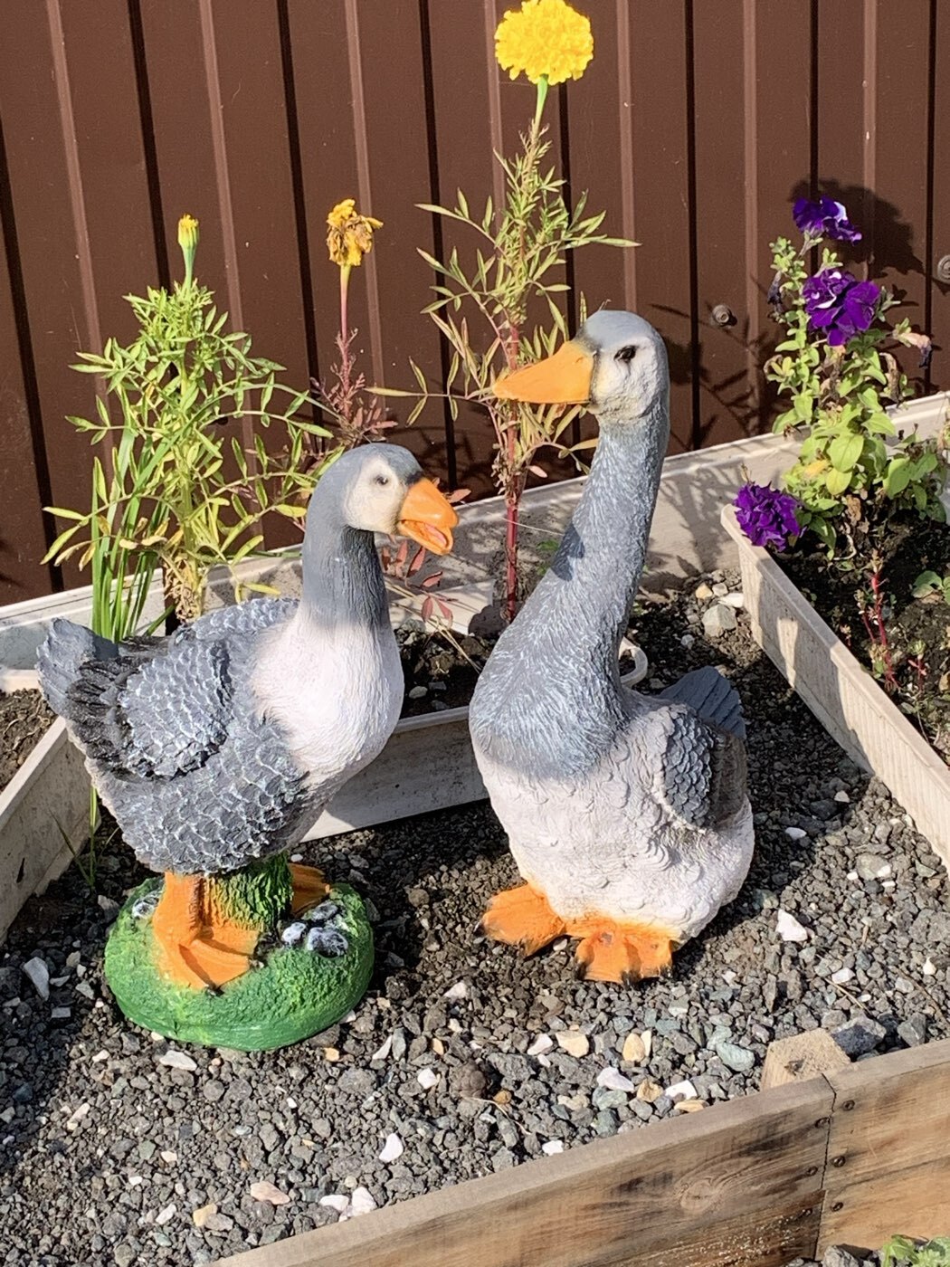 Фотография покупателя товара Садовая фигура из полистоуна «Гусь кричащий», 18×20×44 см - Фото 1