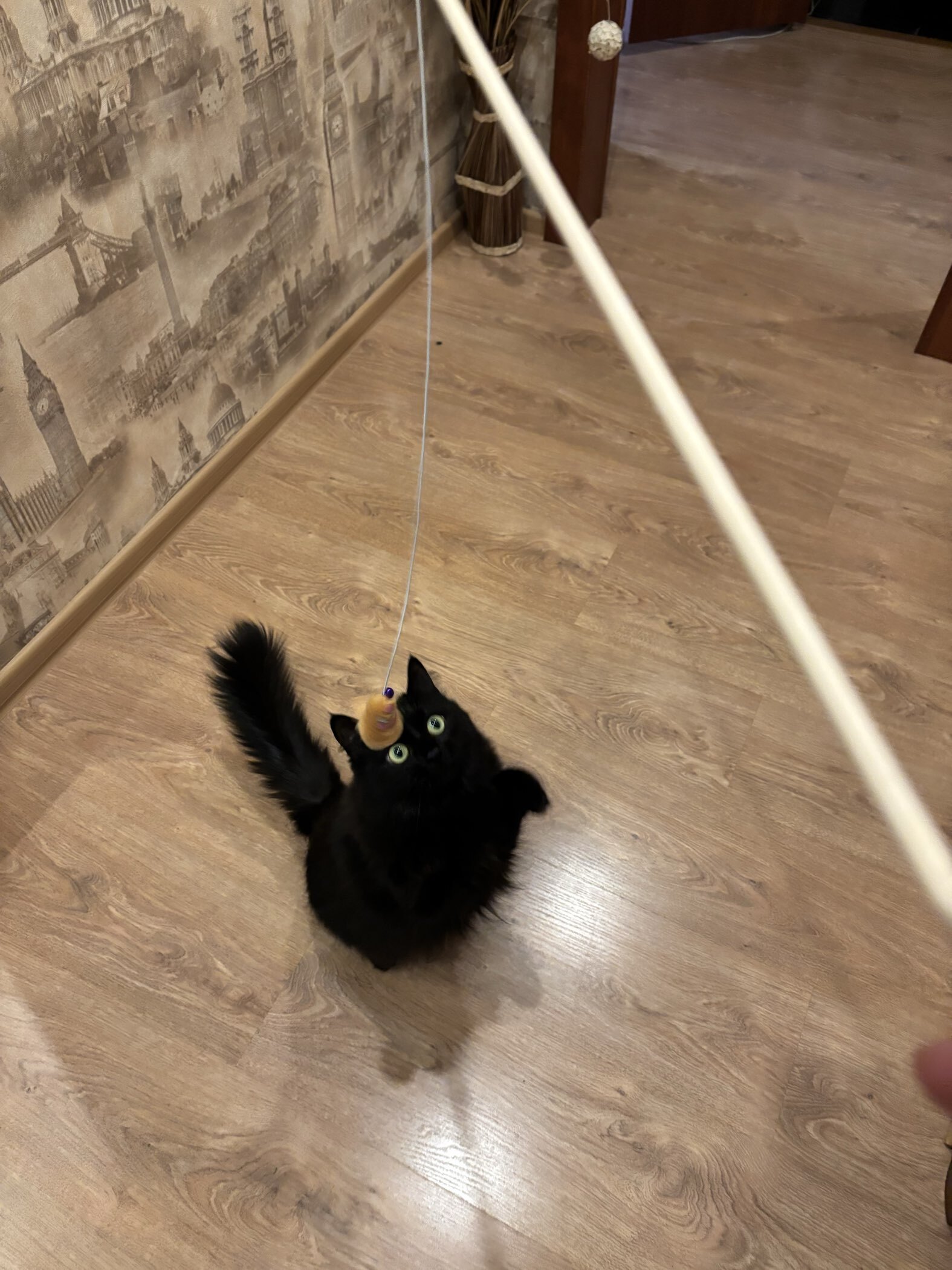 Фотография покупателя товара Дразнилка - удочка «Мышка с колокольчиком» на деревянной палочке, микс цветов - Фото 1