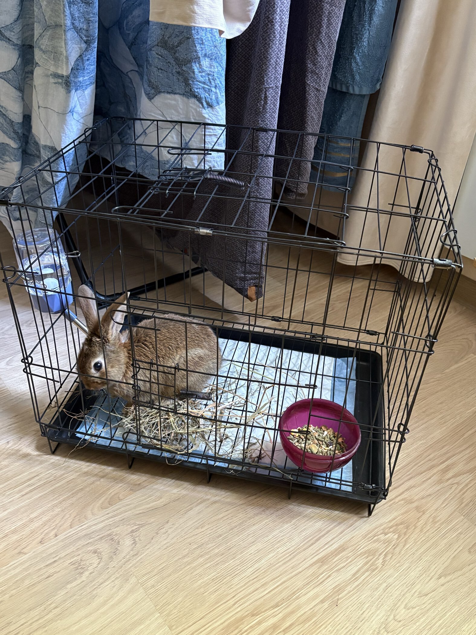 Фотография покупателя товара Клетка для собак 51×35×41 см, черная - Фото 1