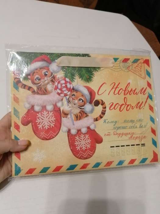 Фотография покупателя товара Пакет ламинированный горизонтальный «Новогодняя почта», MS 23 × 18 × 10 см