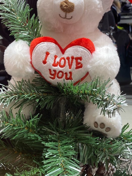 Фотография покупателя товара Мягкая игрушка «Медведь белый с сердцем», 23 см - Фото 1